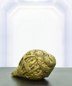 Golden Spiritual Shankh Treasure